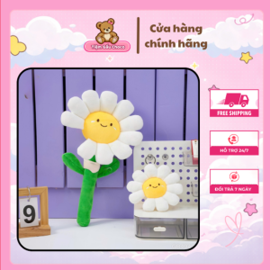 hoa gấu bông Choco